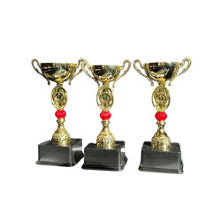 ÖDÜL KUPASI  KULPLU